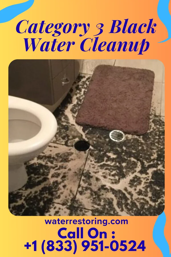 Category 3 Black Water Cleanup in Brandenburg, KY