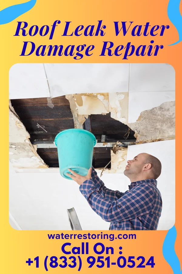 Roof Leak Water Damage Repair in Brandenburg, KY