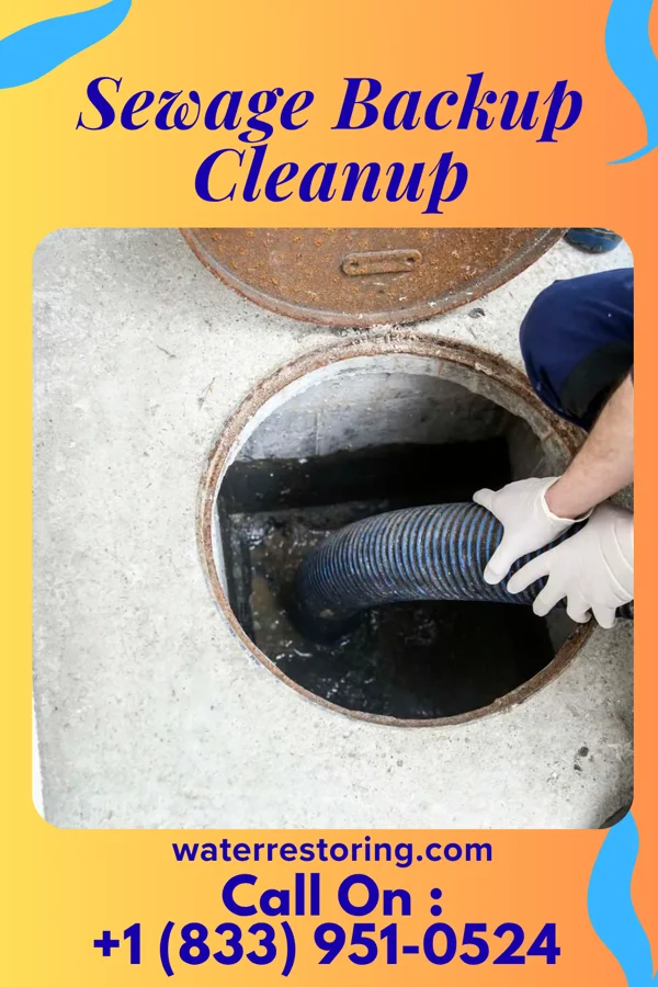 Sewage Backup Cleanup in Brandenburg, KY
