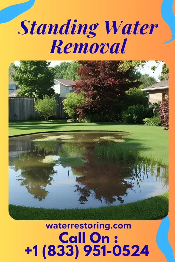 Standing Water Removal in Brandenburg, KY